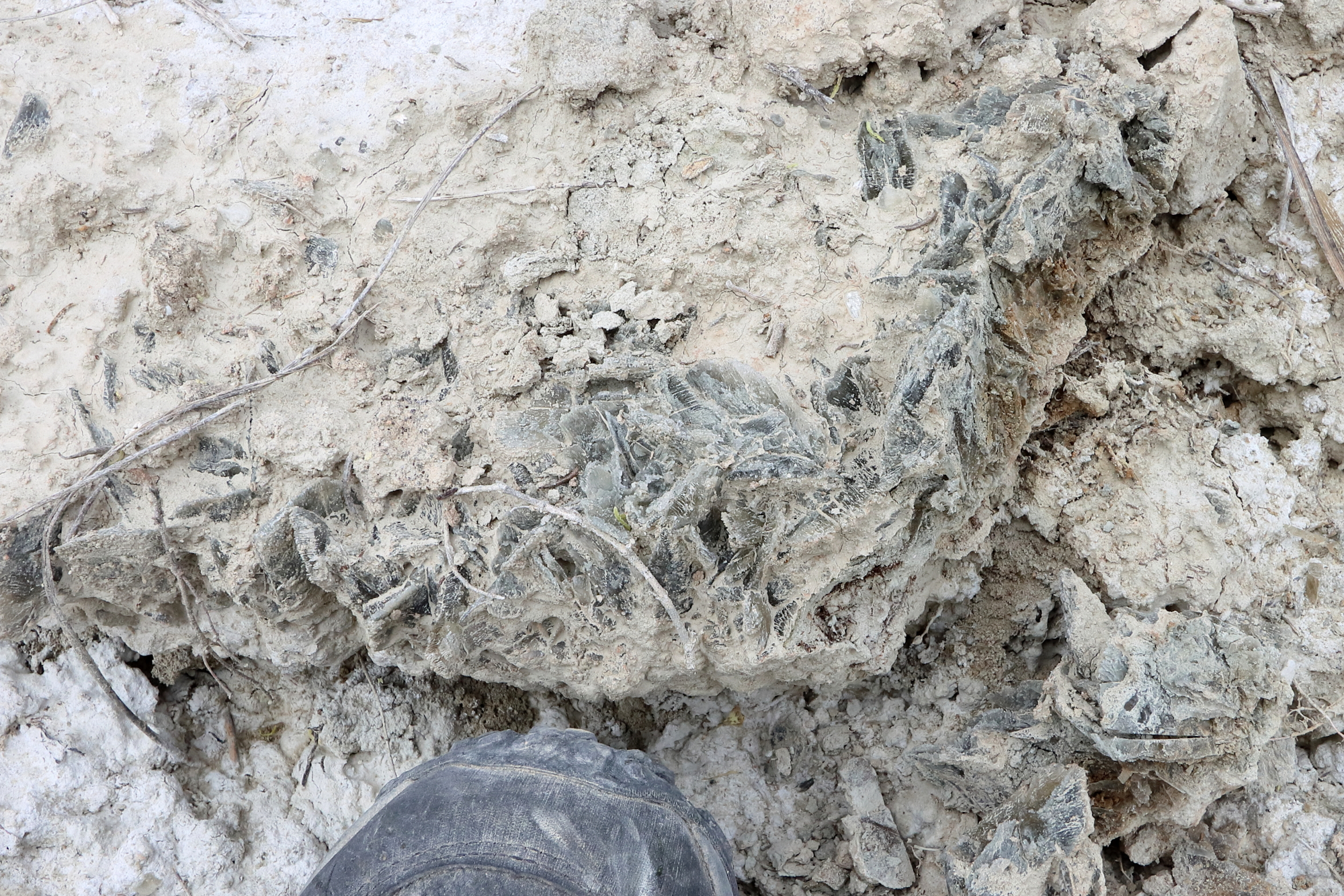 Gypse Gypse Cordillères Bétiques Bassin de Guadix–Baza Baza Hoya de Baza